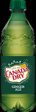 20 oz Ginger ale bottle